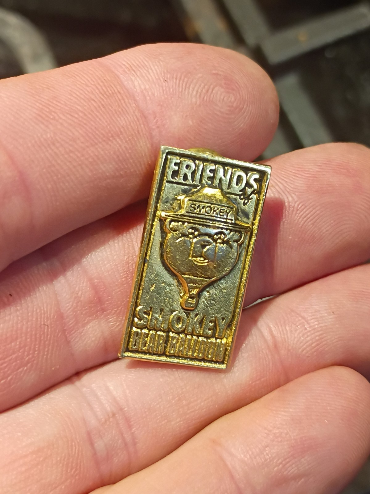 VTG Smokey Bear Hot Air Balloon Friends Pin Ltd Ed. nice clean vintage piece VTG Smokey Bear Hot Air Balloon Friends Pin Ltd Ed. nice clean vintage piece