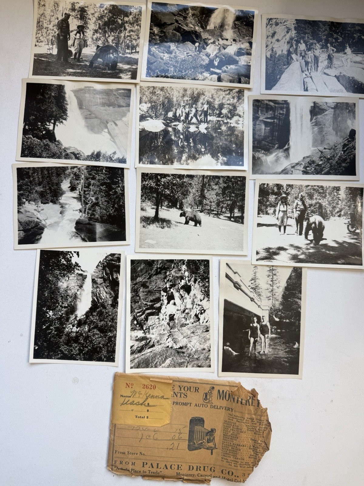 Antique Yosemite Photo Lot Bears Waterfalls Tourists 1920s-30s Original