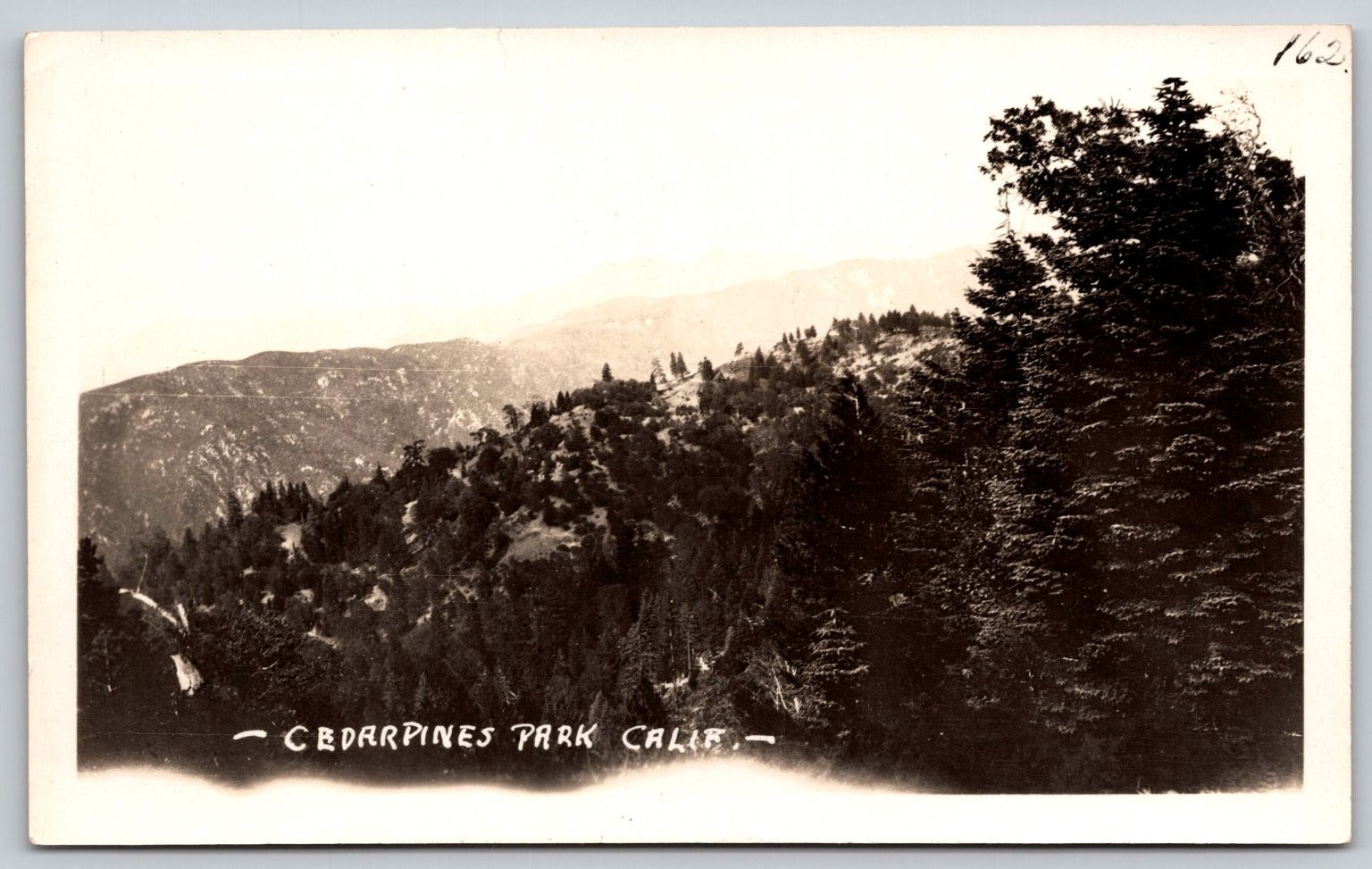 Vintage RPPC Cedarpines Park California Mountain Landscape Postcard C452