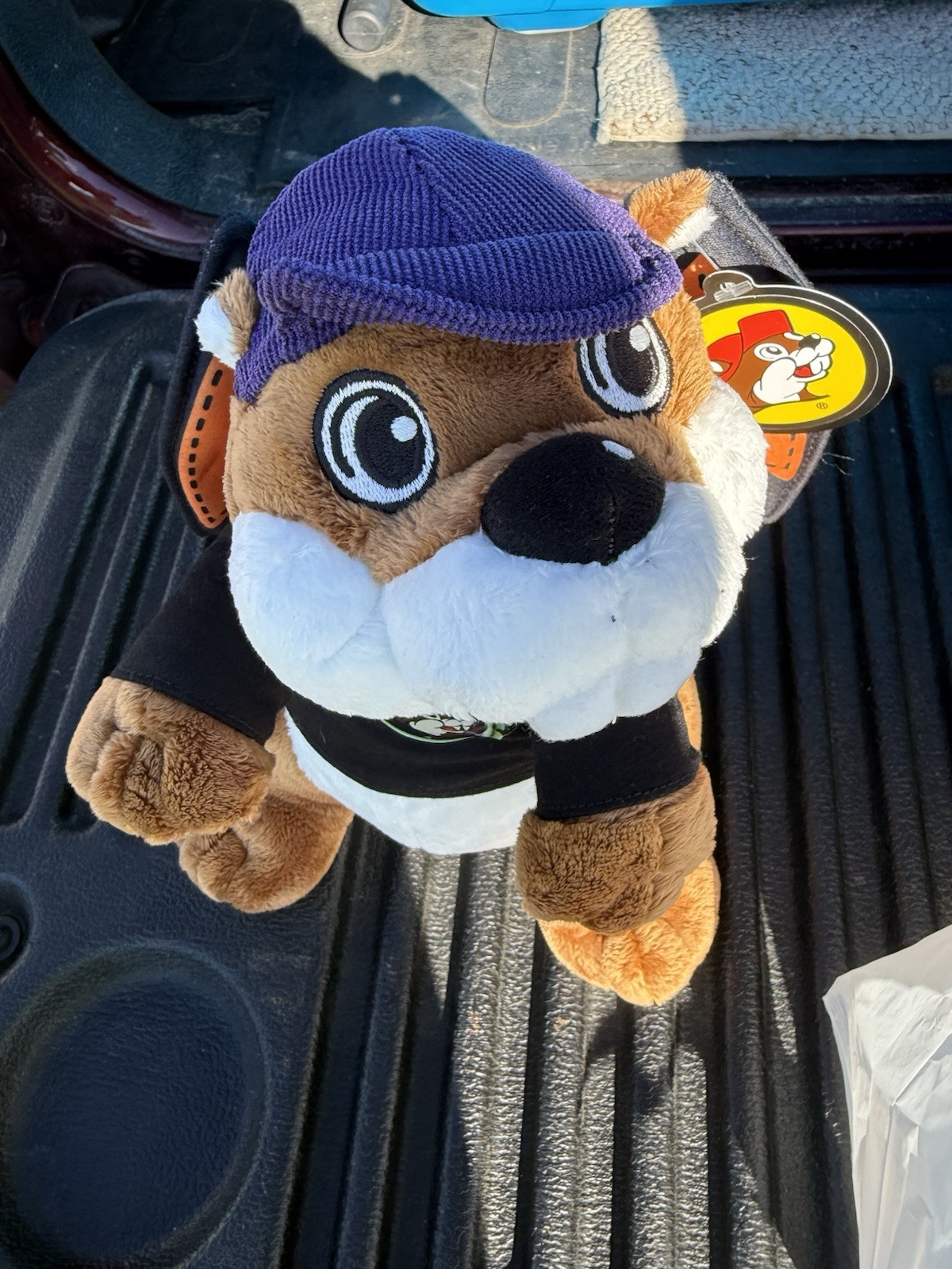Buc-ee’s 12 Inch Halloween NEW 2026 Limited Edition For 2026 Buc-ee’s 12 Inch Halloween NEW 2026 Limited Edition For 2026