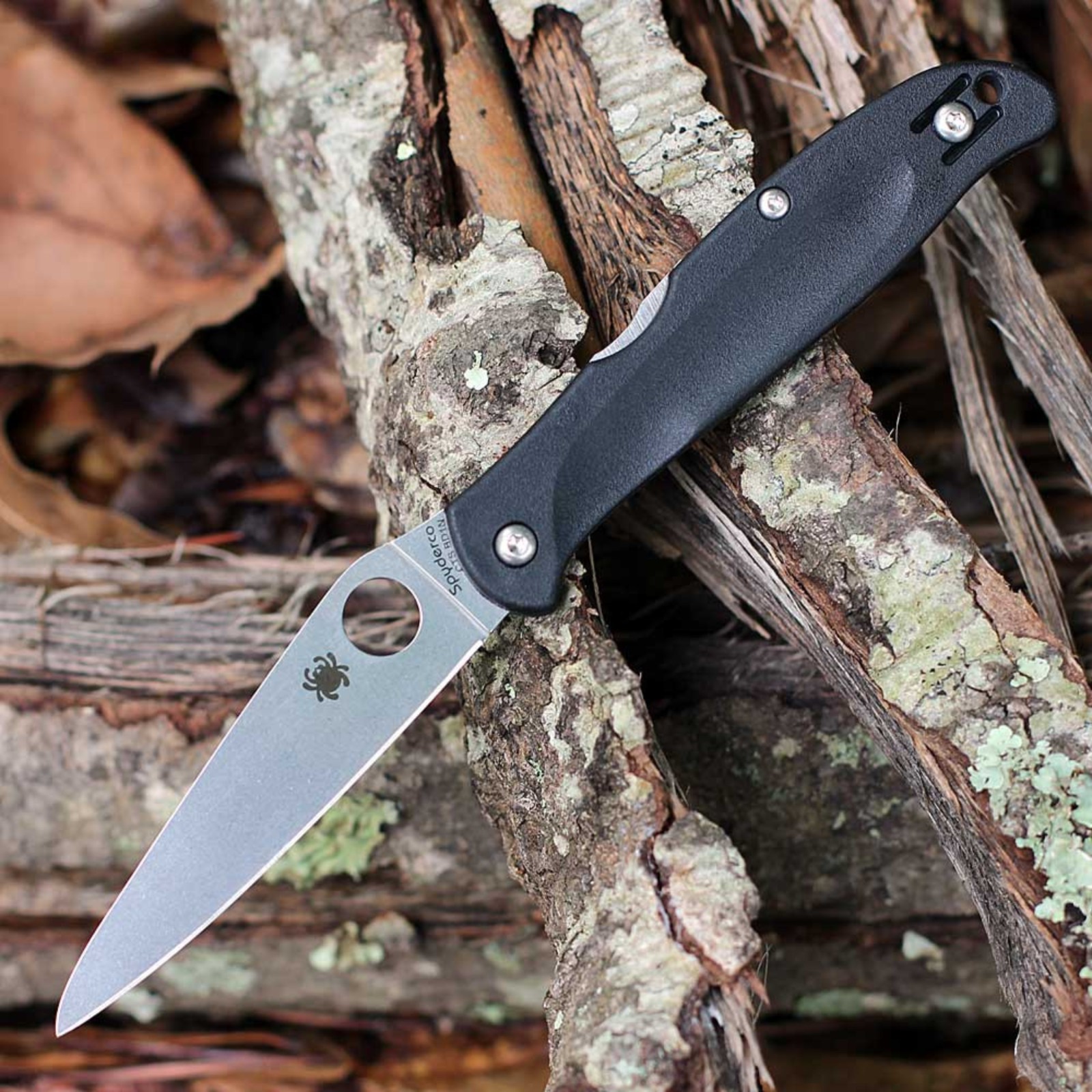 SPYDERCO CHARISMA LOCKBACK FOLDING KNIFE CTS-BD1N STAINLESS BLACK FRN C259PBK SPYDERCO CHARISMA LOCKBACK FOLDING KNIFE CTS-BD1N STAINLESS BLACK FRN C259PBK