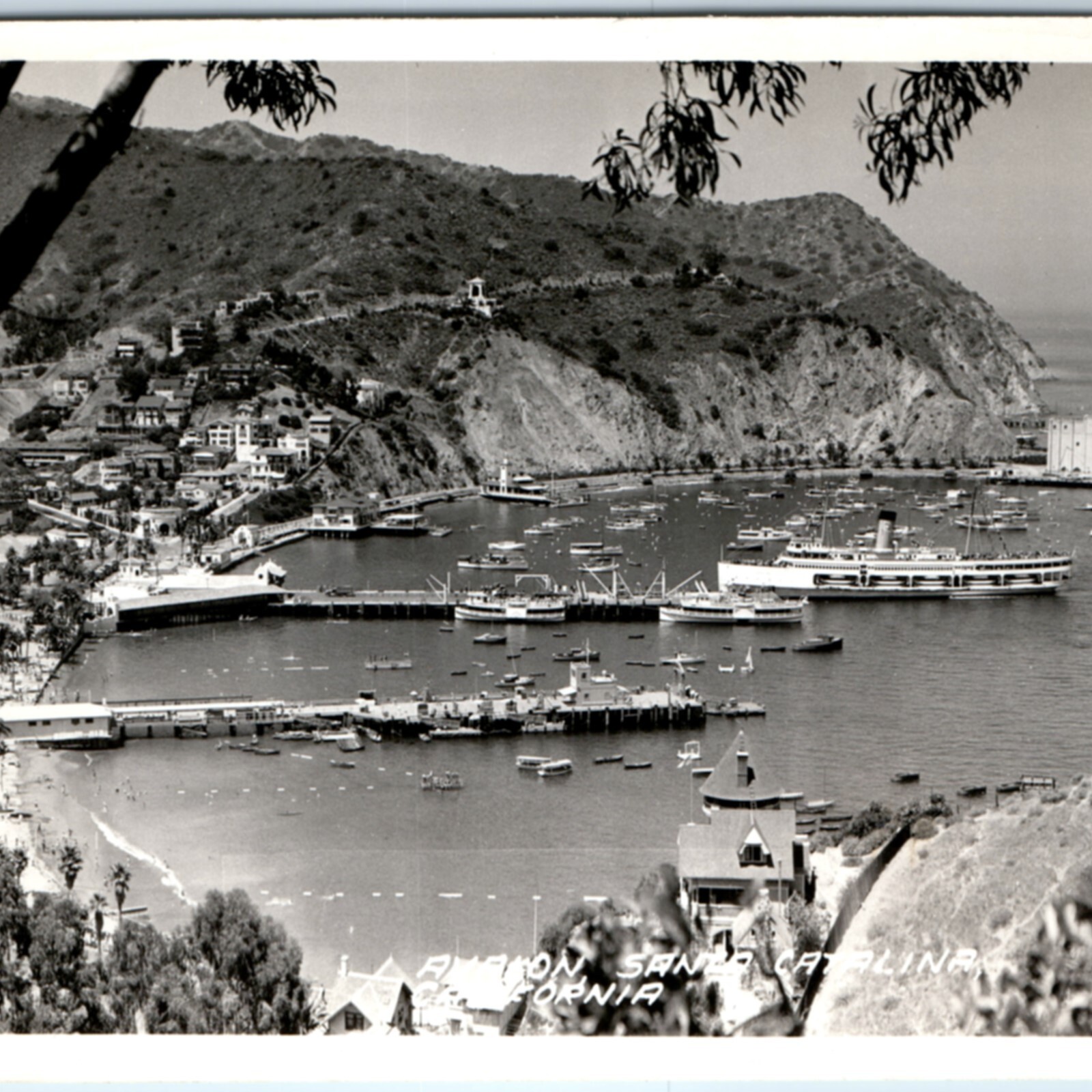 c1940s Avalon, CA Harbor RPPC Catalina Island Casino Bay Steamship Frasher Photo c1940s Avalon, CA Harbor RPPC Catalina Island Casino Bay Steamship Frasher Photo