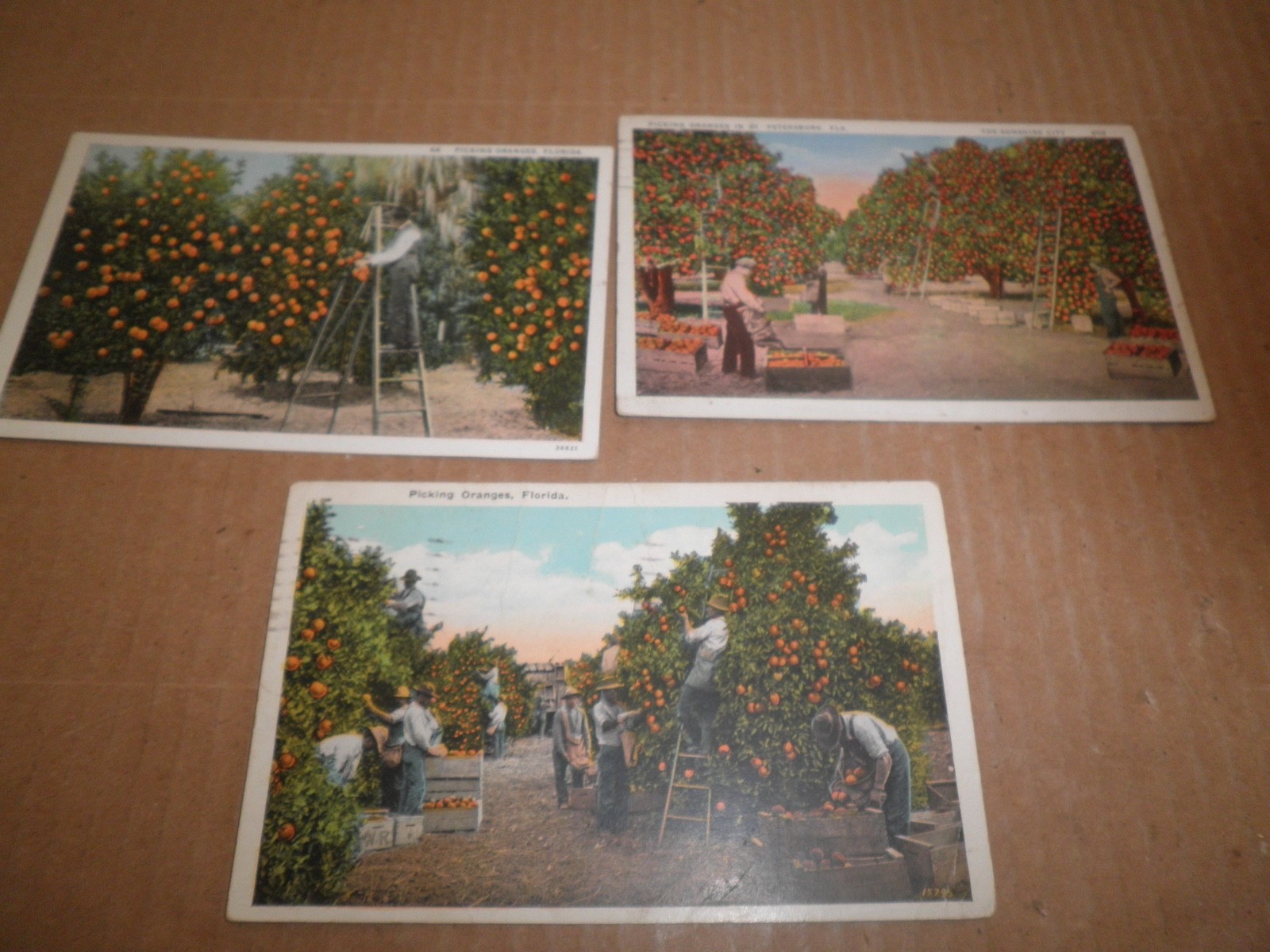 Three old original Florida Orange Themed Postcards 1920's - 1930's Three old original Florida Orange Themed Postcards 1920's - 1930's