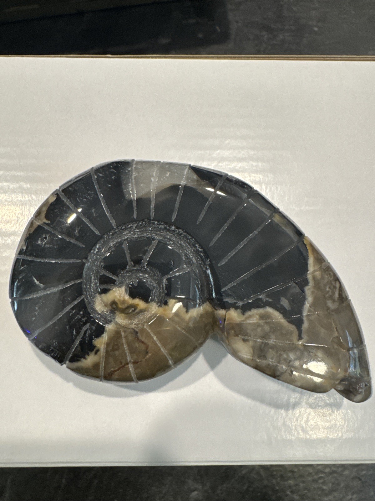 Volcano Agate Crystal Shell Carving UV Reactive 196 Grams 4” Volcano Agate Crystal Shell Carving UV Reactive 196 Grams 4”