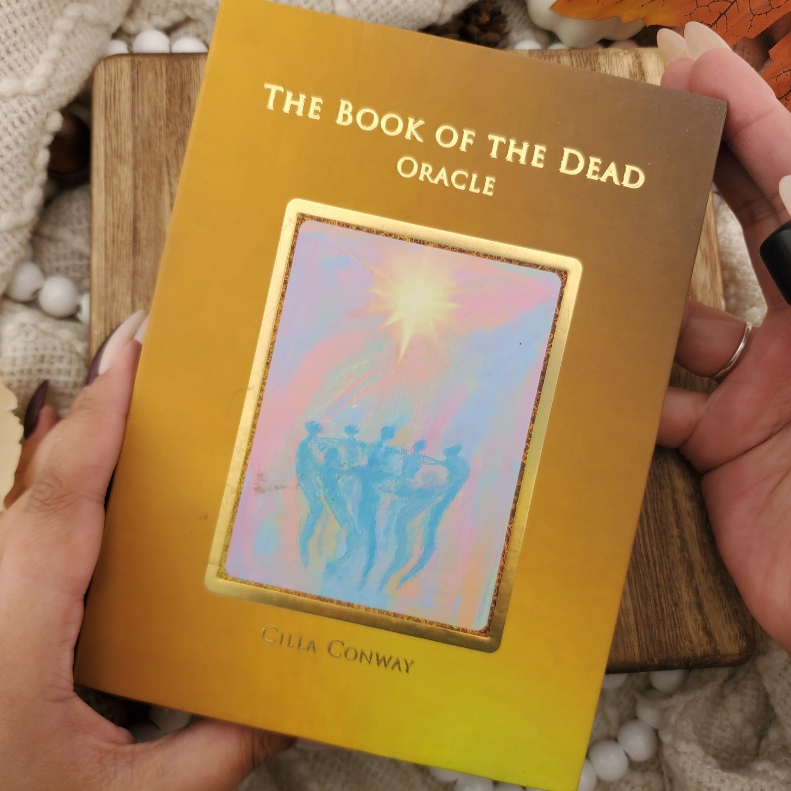 The Book of the Dead Oracle Cards 48 Card Complete Deck 2021 Cilla Conway