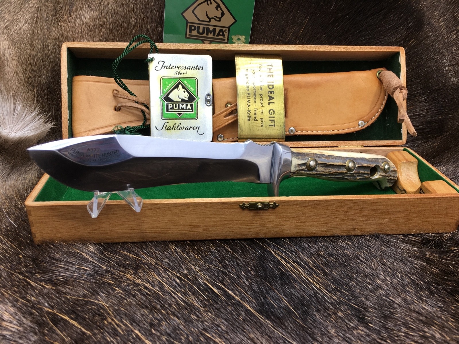 Pre 1964 Puma 6377  White Hunter With Stag Handles Mint In Presentation Box RARE