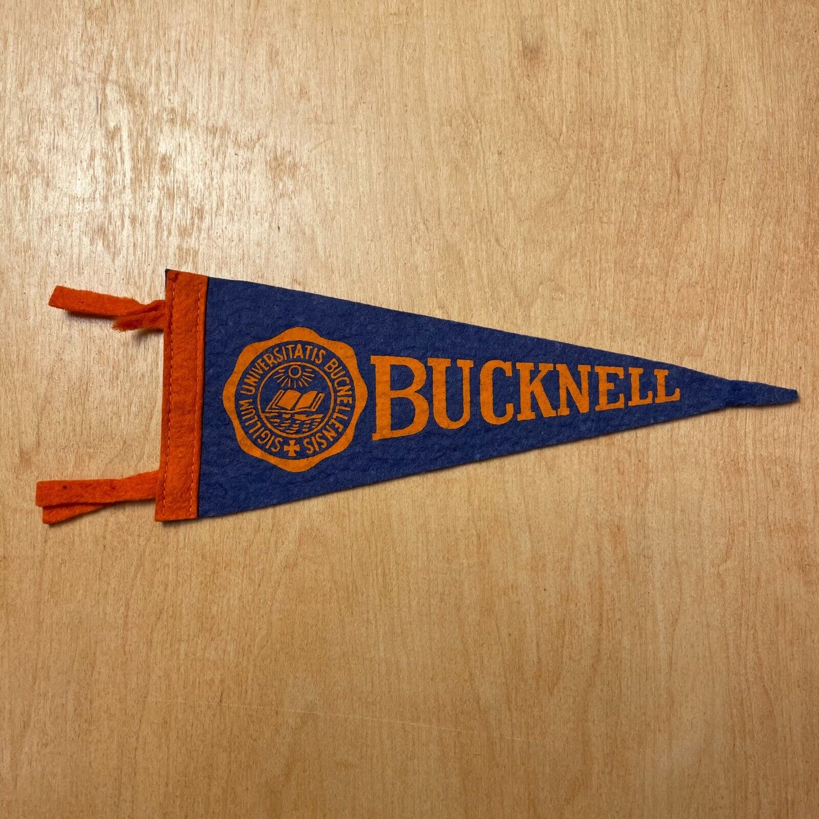 Vintage 1950s Bucknell University 4x9 Felt Pennant Flag