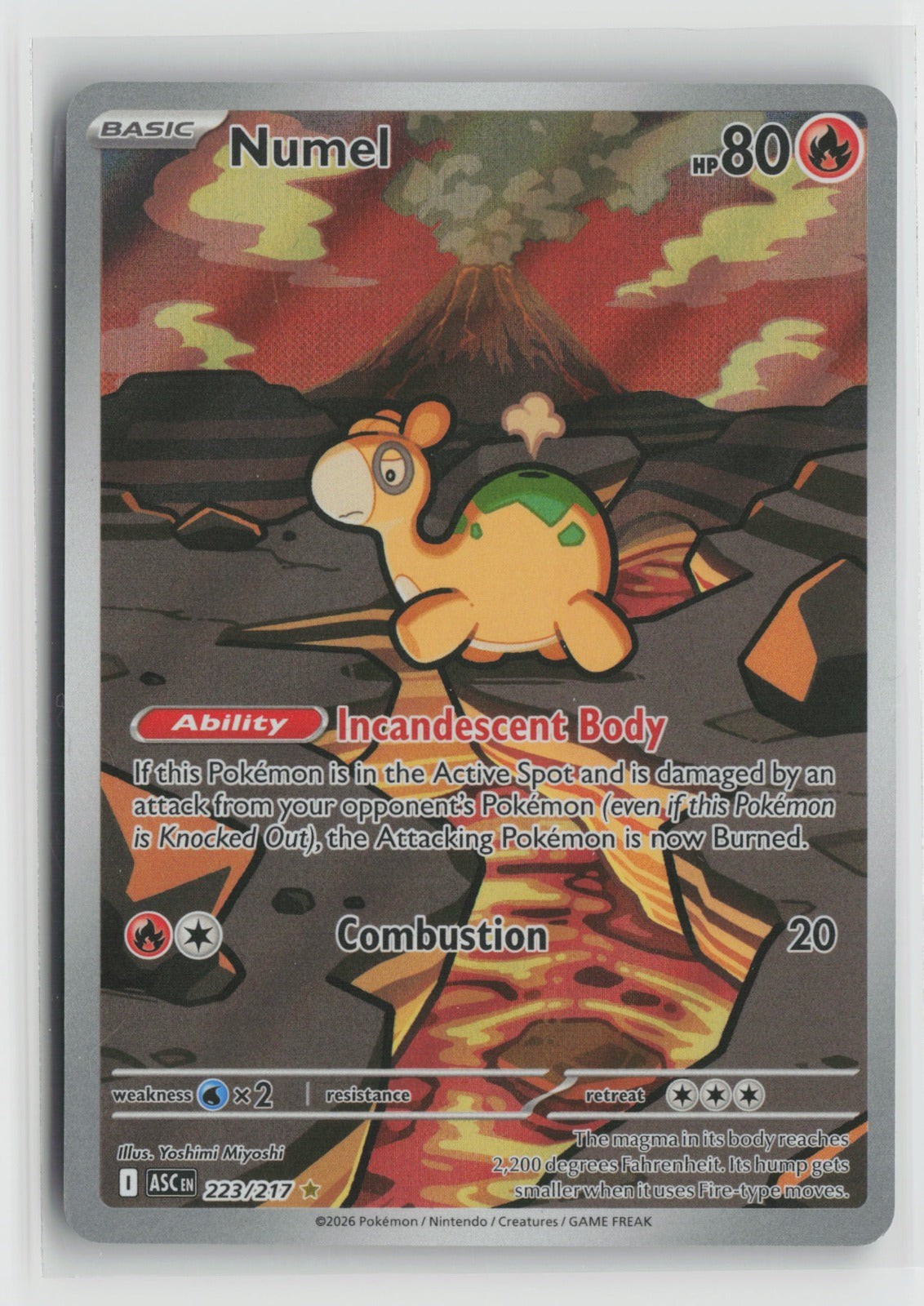 Numel - Illustration Rare Holo ASC 223/217 NM
