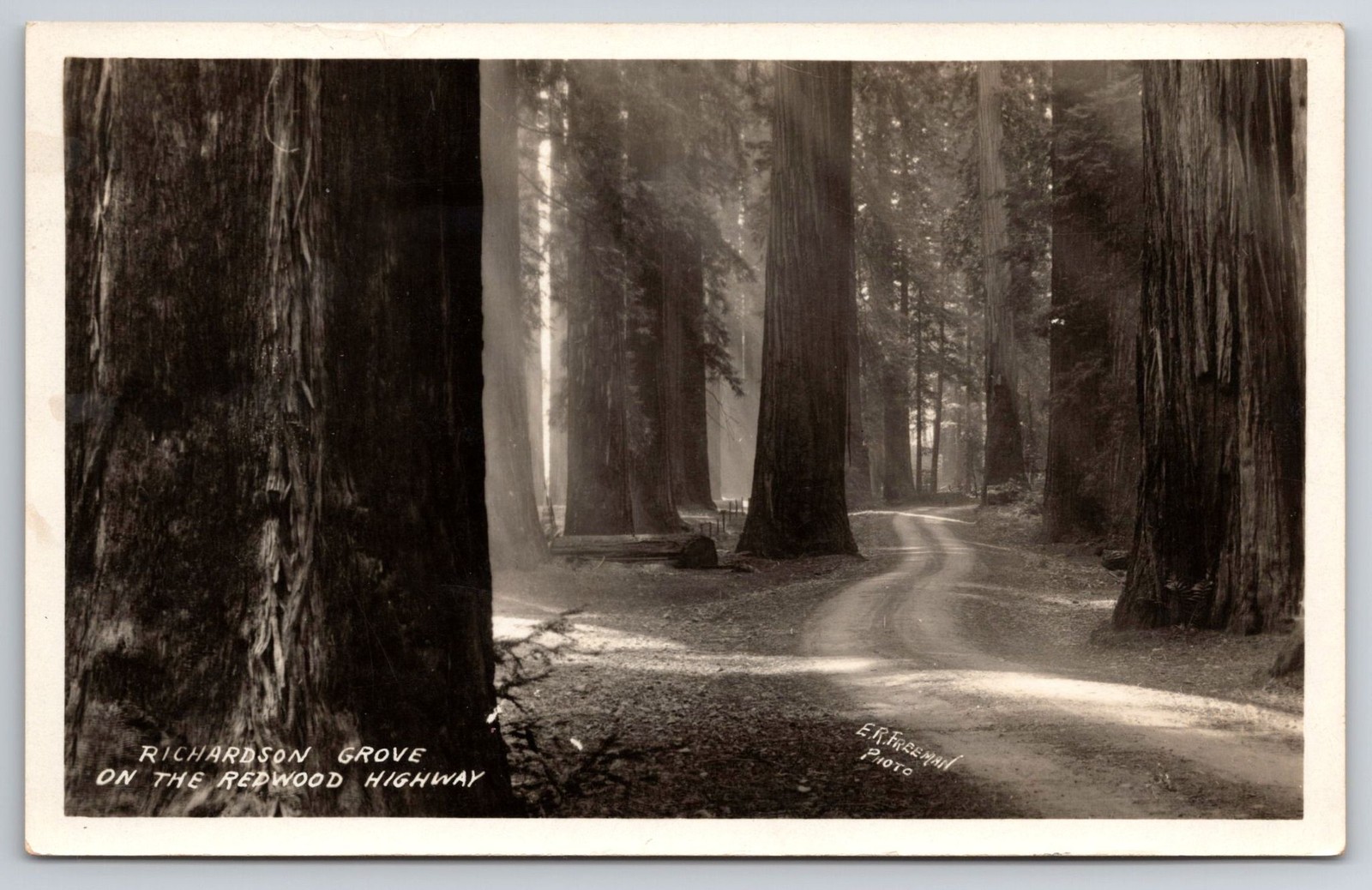 Photographer ER Freeman Signed Hartsook CA DPO Cancel 1928 Richardson Grove RPPC Photographer ER Freeman Signed Hartsook CA DPO Cancel 1928 Richardson Grove RPPC