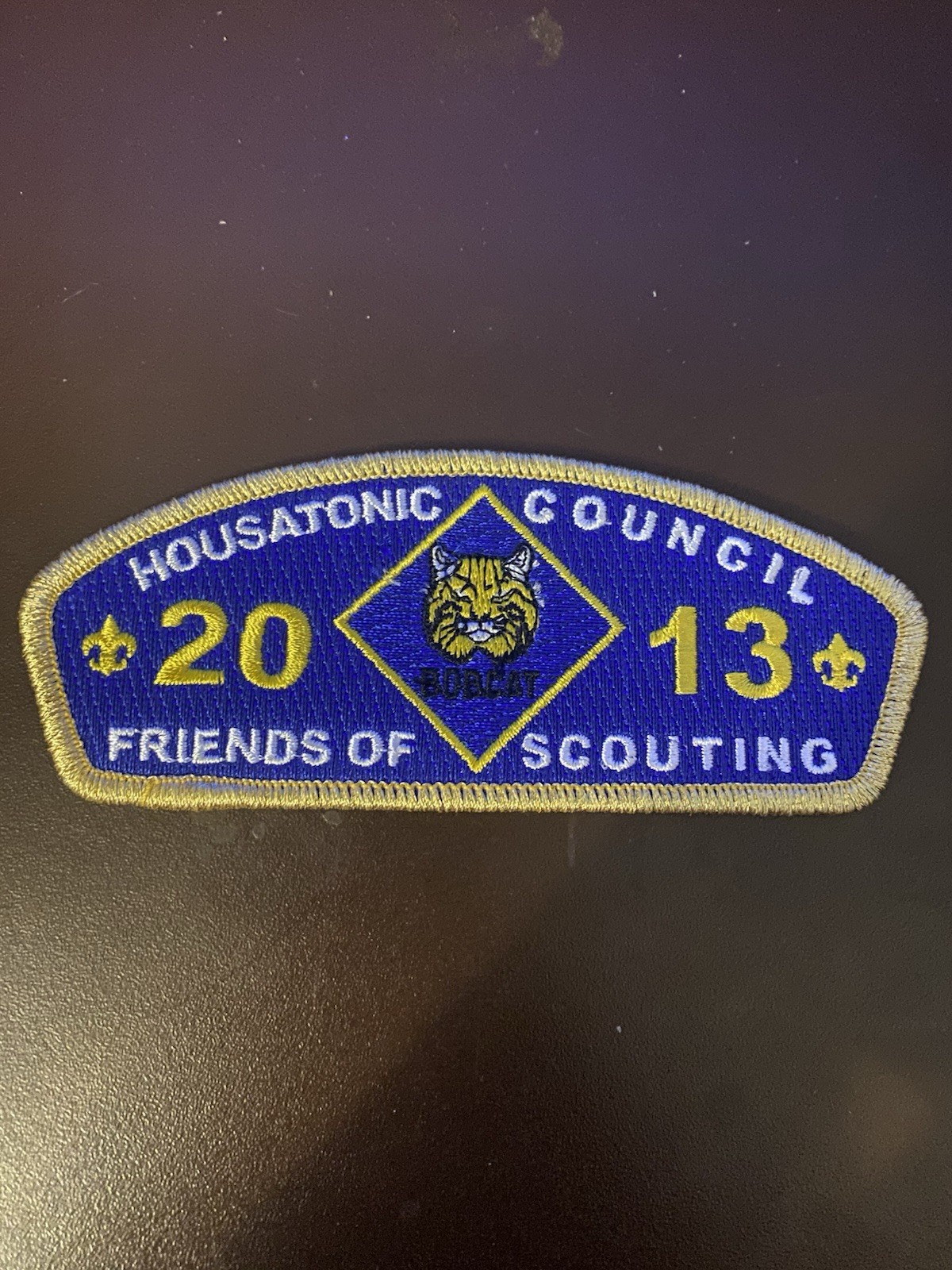 BSA Housatonic Council 2013 FOS CSP Gold Mylar Bdr