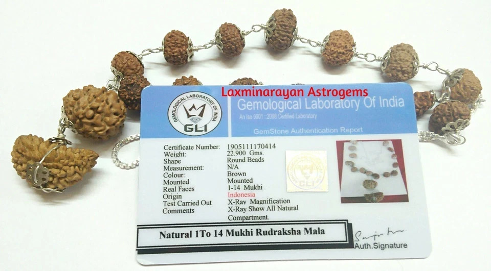 Rudraksha Siddha Mala 1 to 14 Mukhi with GouriShankar & Ganesh in Silver plated