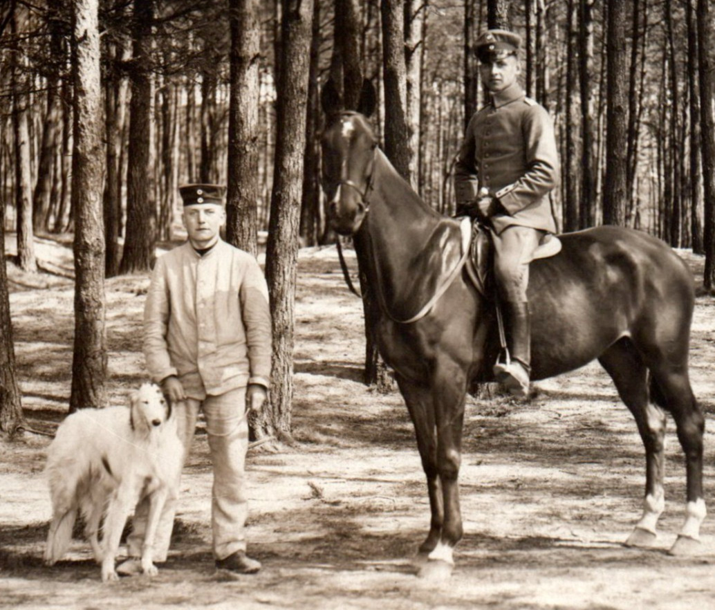 WWI German Soldiers Dog Horse RPPC Real Photo Postcard