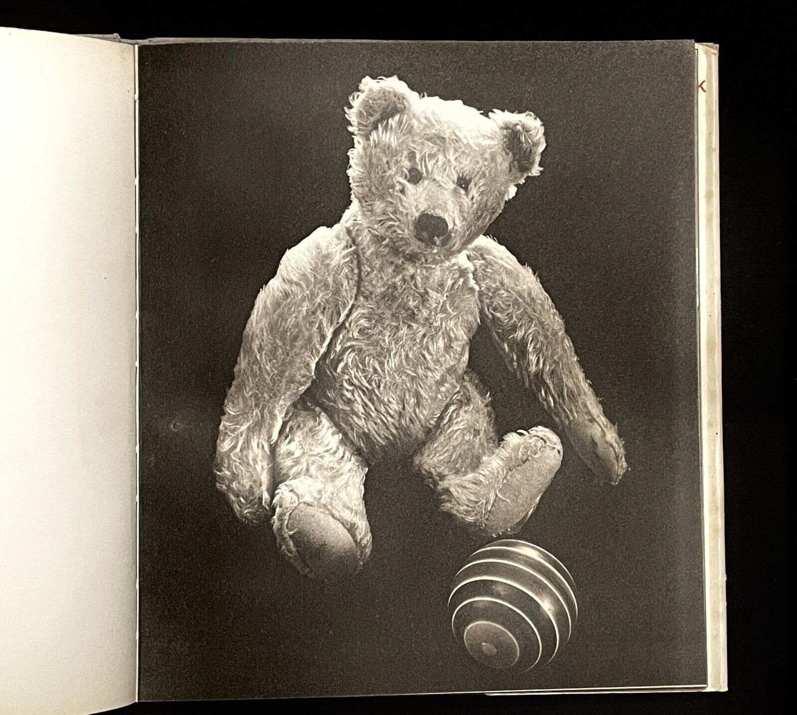 1930 EDWARD STEICHEN ~  FIRST PICTURE BOOK ~ RARE FIRST EDITION IN DJ NEAR FINE