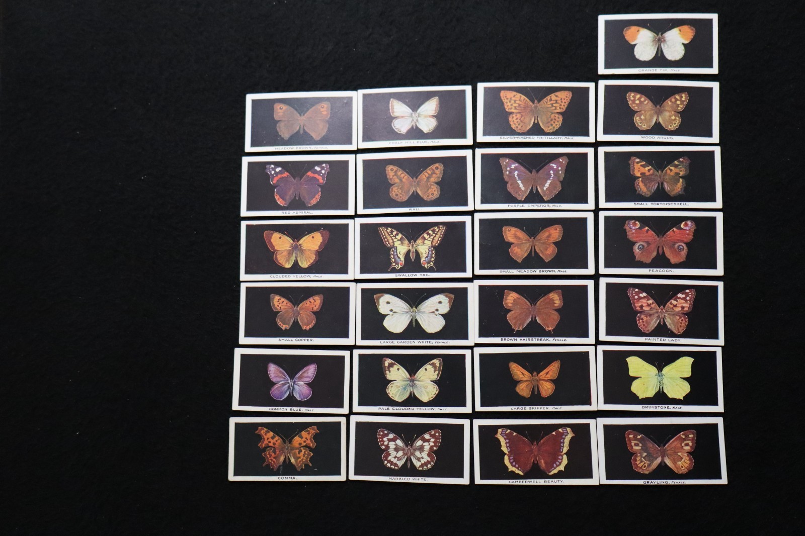 CVR184 Abdulla Cigarette Cards British Butterflies 1935 Complete Set 25
