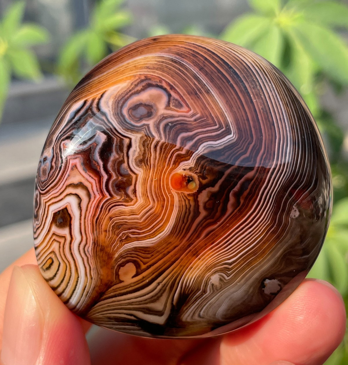 82g Natural Banded Agate Carnelian Polished Palm Stone Crystal Specimem Healing
