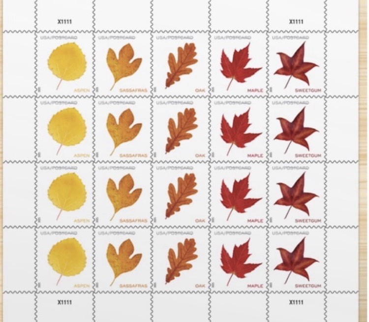 Vibrant Leaves Post Card Stamps 20/block ($.65/ea) Vibrant Leaves Post Card Stamps 20/block ($.65/ea)