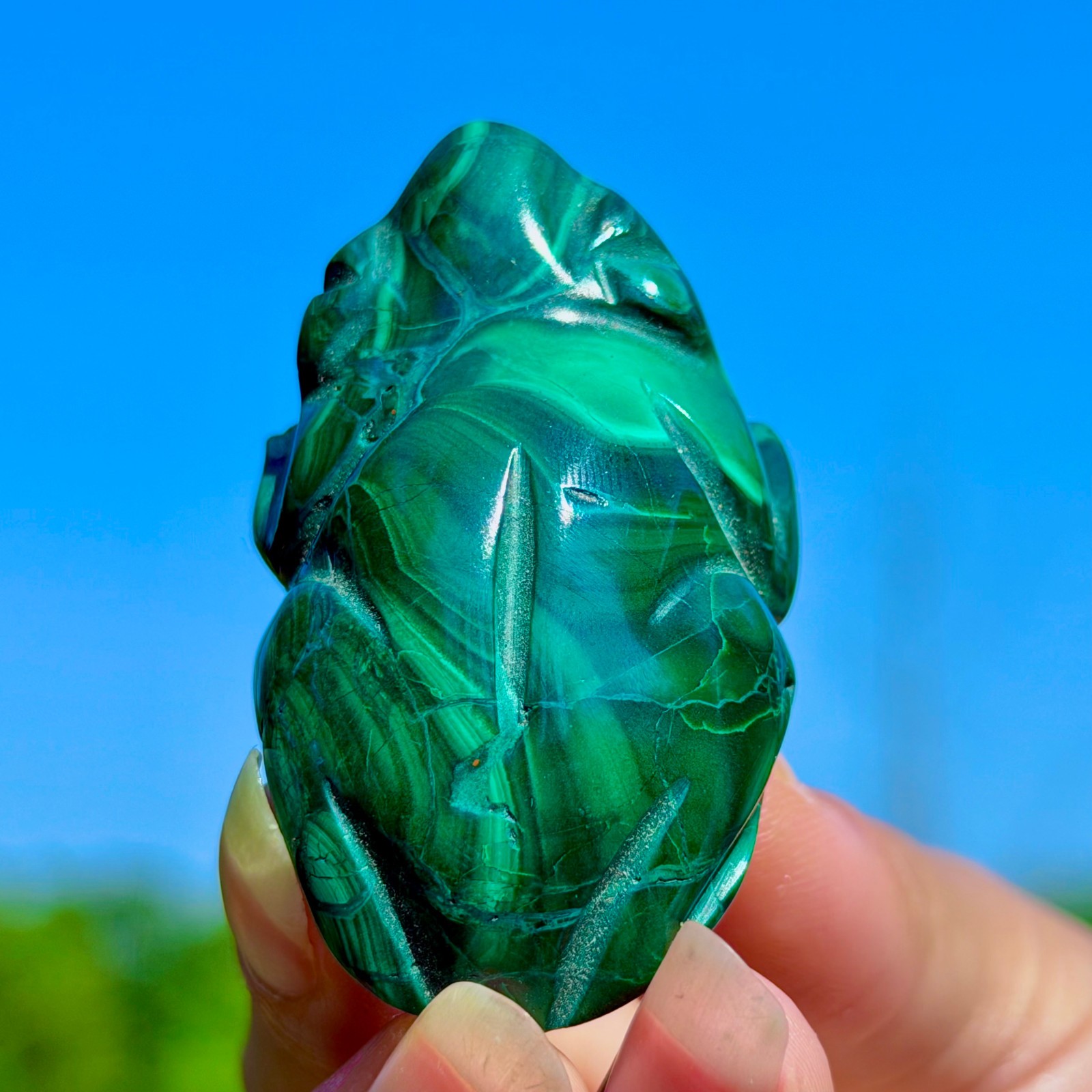 48G Natural glossy Malachite Crystal Hand-carved Frog mineral sample healing