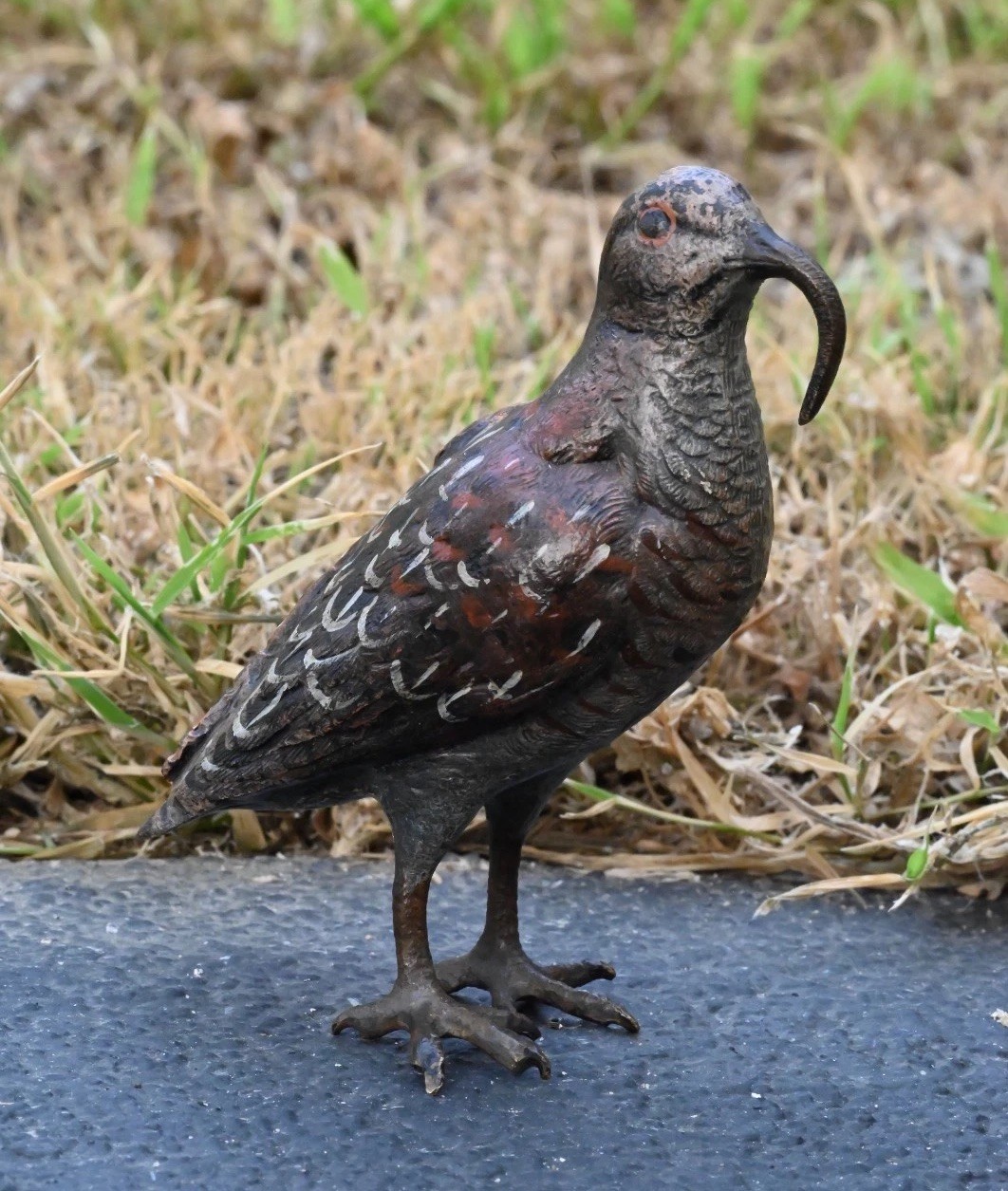 Amazing Austrian Vienna Cold Painted Bronze Figure of American Woodcock Bird