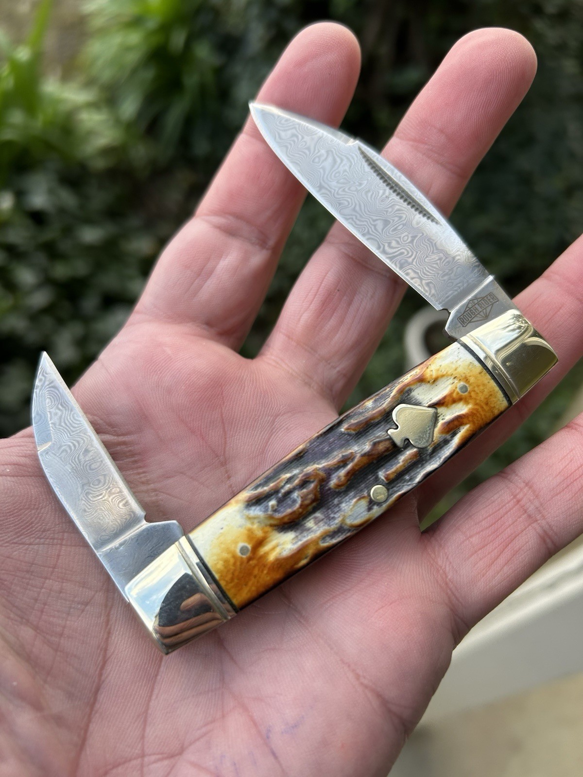#2530 Rough Ryder Damascus Cinnamon Bone Senator Jack Pocket Knife New In Box