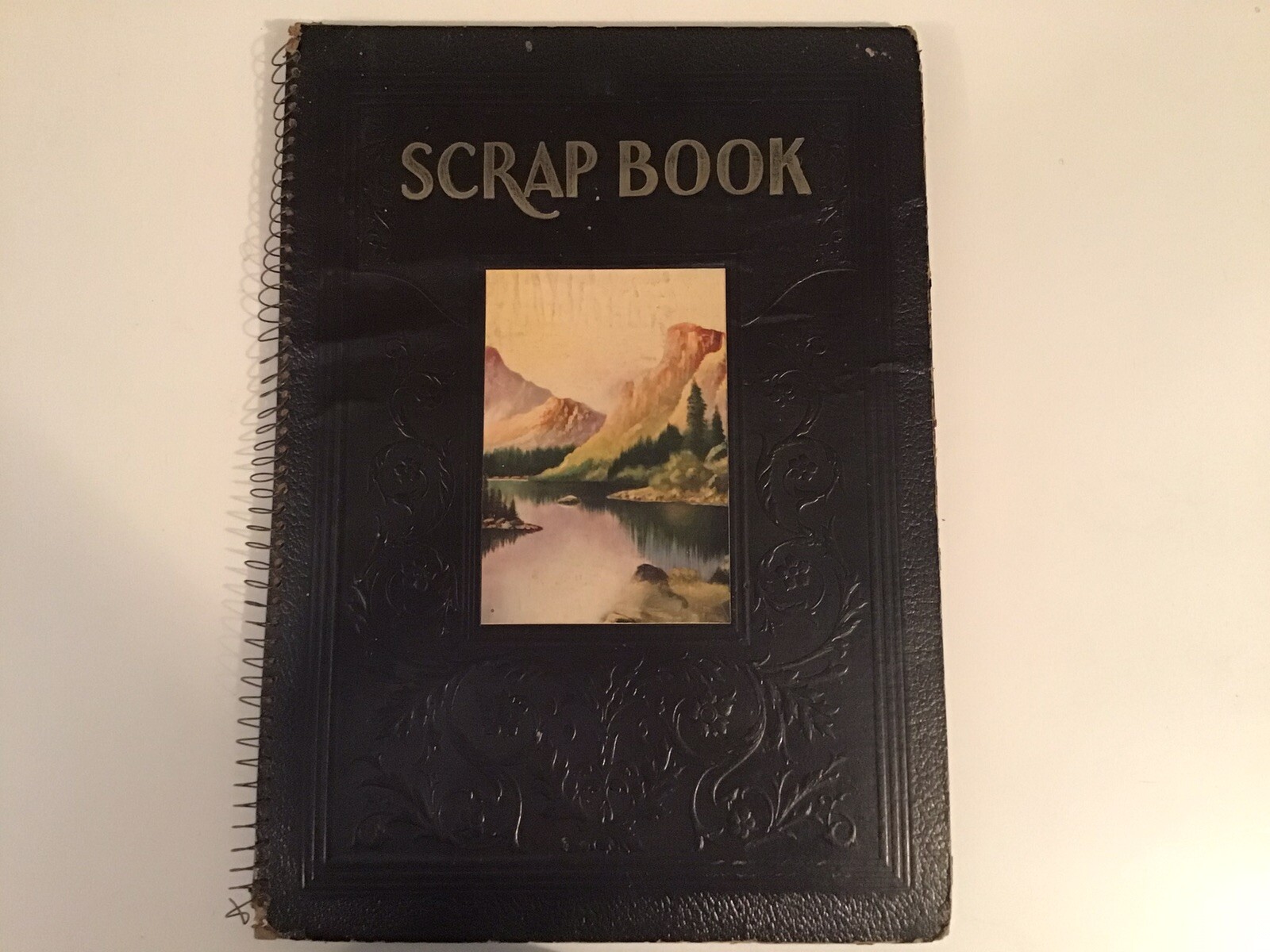 Amazing 1930’s Scrapbook Hypnotism Worlds Fair Royal Visitors State Stamp Set