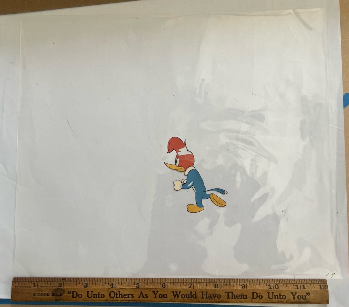 Circa 1950s Cartoon Comic Cels by Walter Lantz  Studios - Woody Woodpecker