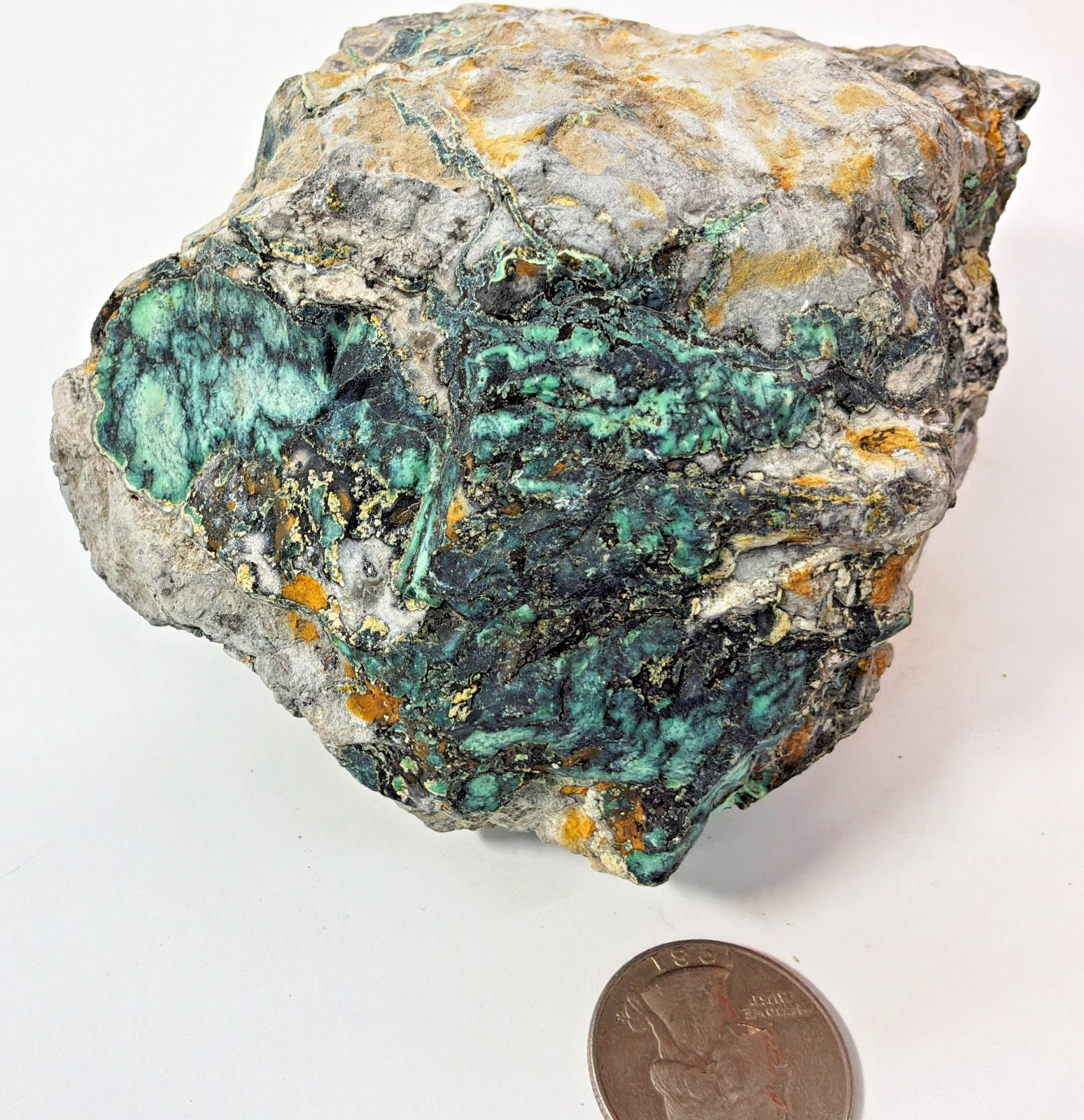 1 pound 9 oz of Natural American Peacock Turquoise Rough Nevada Turquoise rough