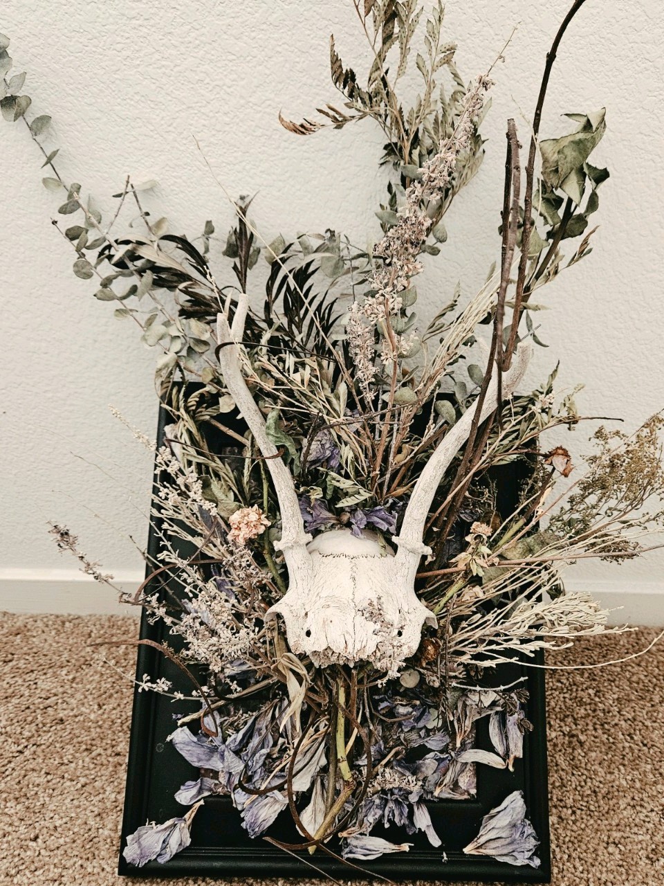 Decorative Skull with Antlers/Horns and Dried Floral Arrangement Display