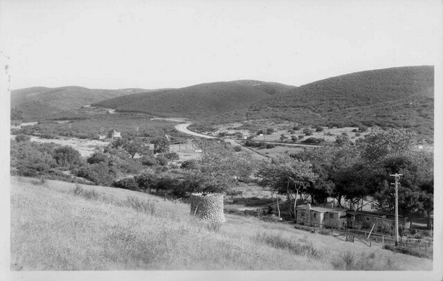 Adams Grove & Highway Big Stone California  1950s OLD PHOTO