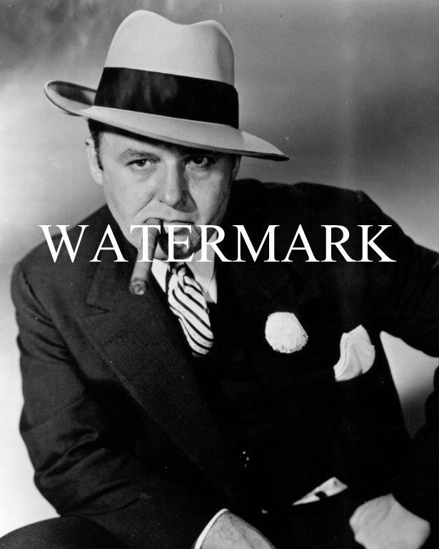 AL CAPONE Gangster Mobster Mafia Leader 8x10 Photo Print Reprint