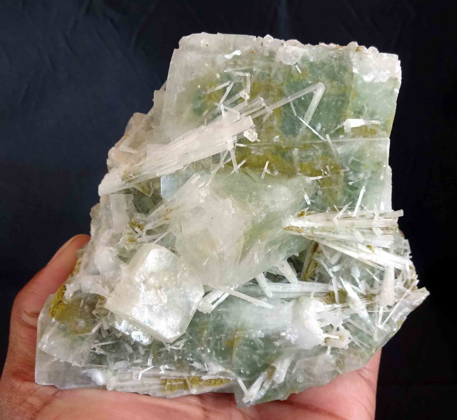 SUPERB SCOLECITE WITH LITE GREEN APOPHYLLITE ON BASE # 596