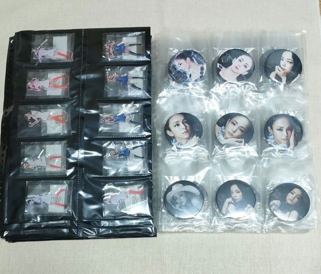 Namie Amuro Acrylic Stand & Magnet Set J-Pop Star Memorabilia