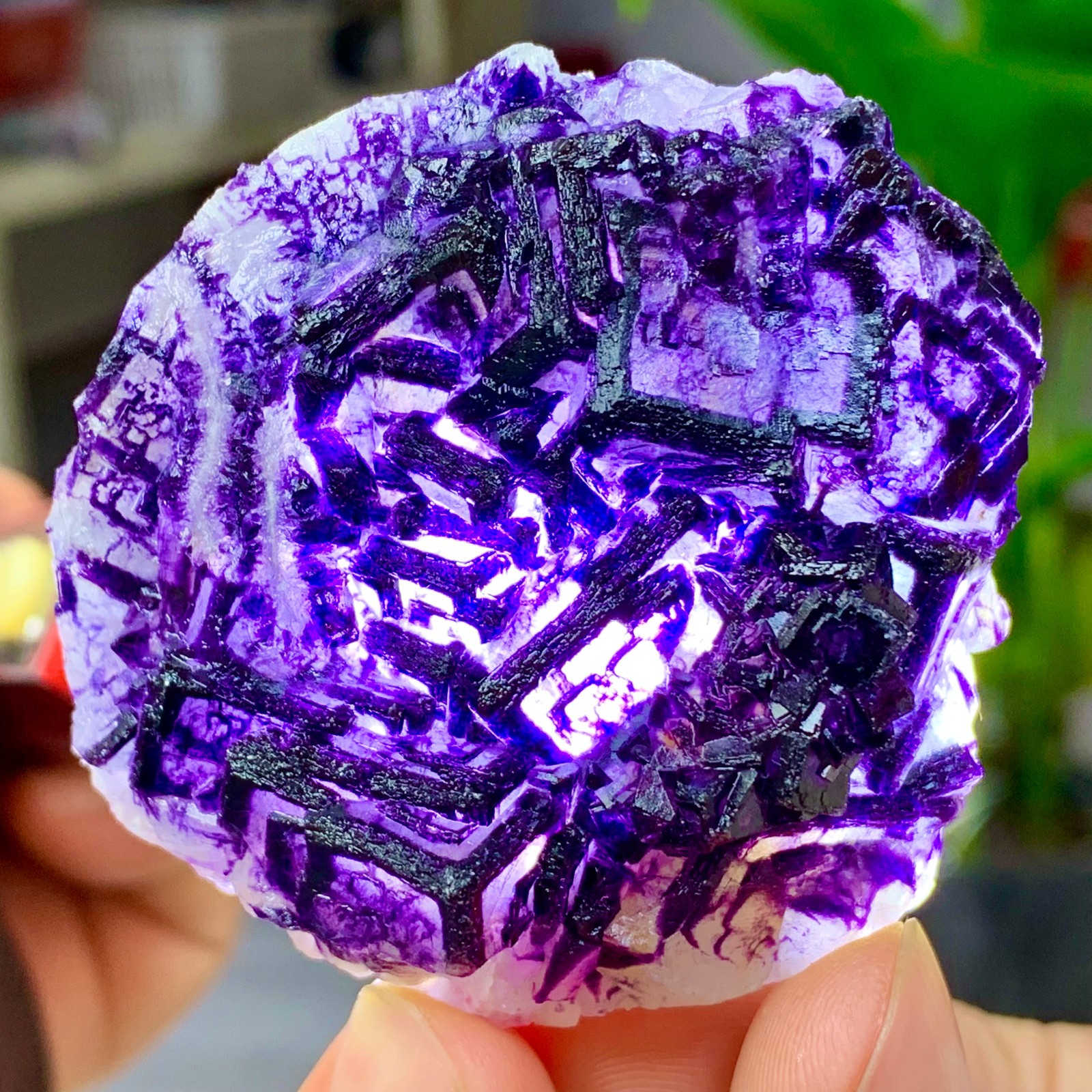 87G Inner Mongolia Natural Fluorite Purple Edged Cube Crystal Mineral Specimen