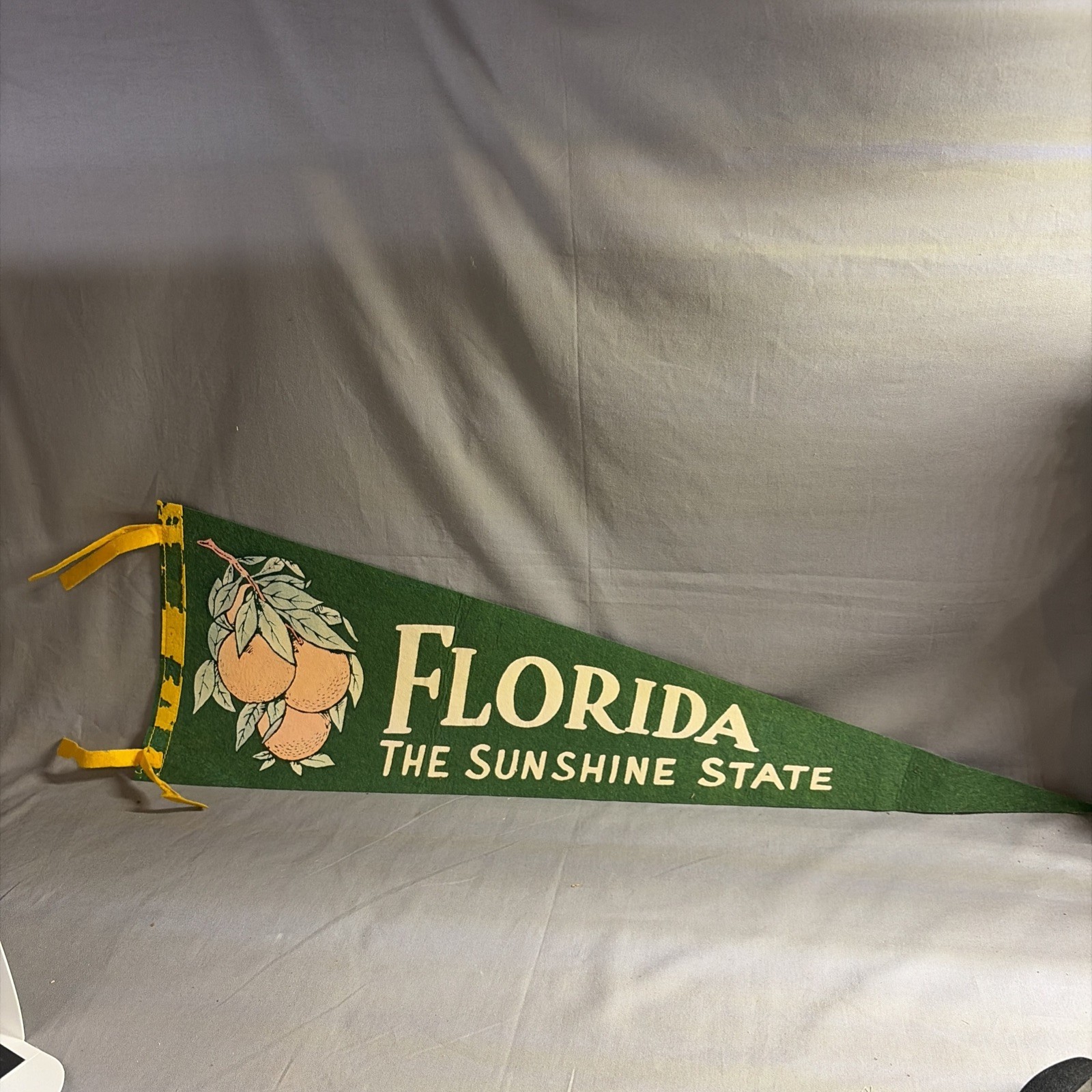 Vintage Florida Oranges The Sunshine State felt Pennant Flag Souvenir Vintage Florida Oranges The Sunshine State felt Pennant Flag Souvenir