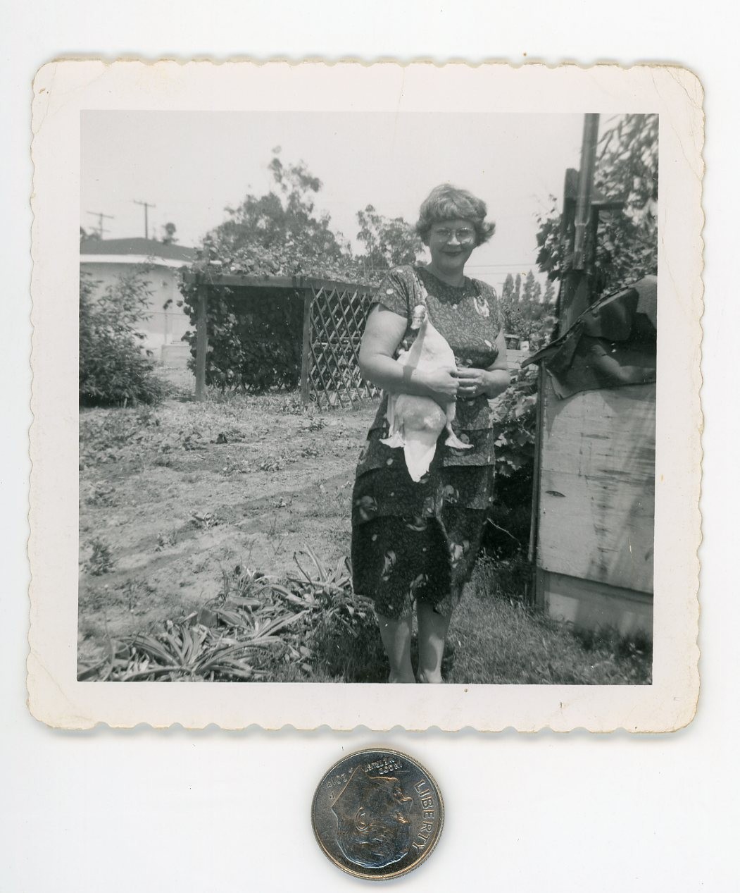 Vintage 1960\'s BIRD photo / My Neighbor Lady Holding Her Pet GOOSE with Attitude