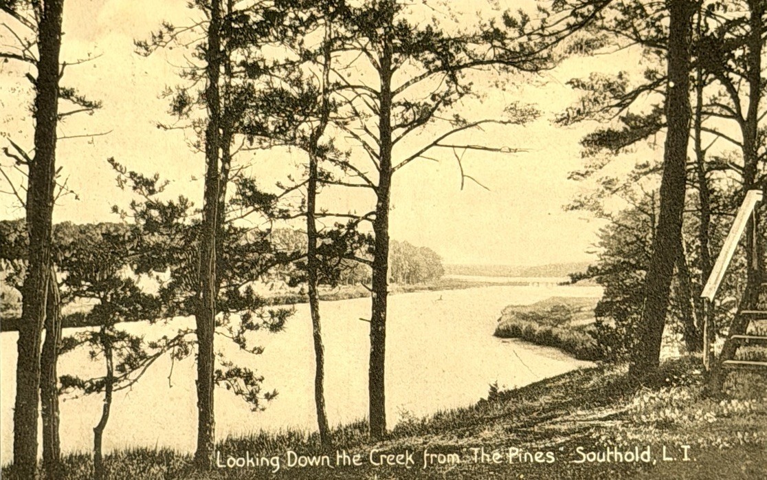 Southold Long Island Vintage Postcard - Down the Creek from The Pines c1915 NY