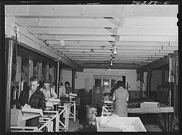 Photo:Yakima Washington Migratory Labor Camp 1930s Packing Shed Workers