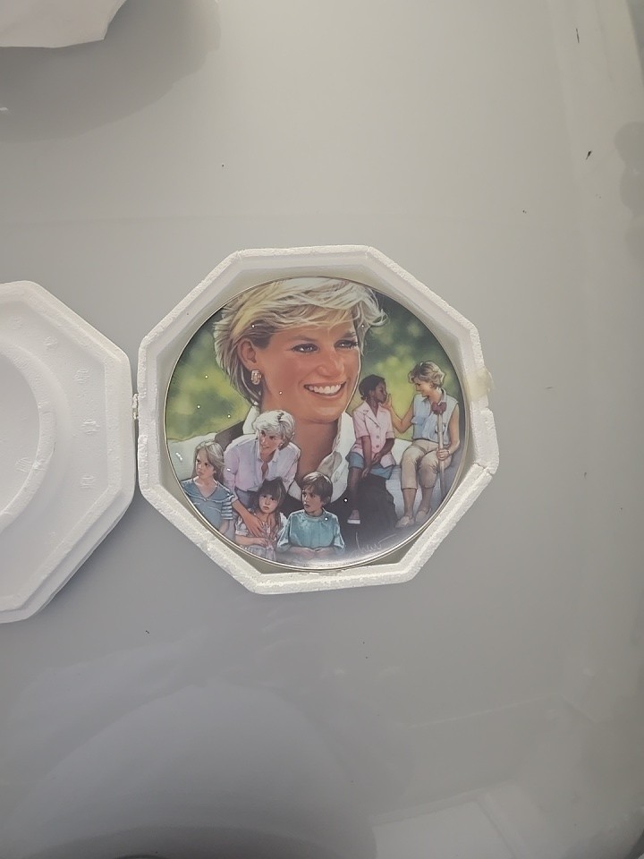 Princess Diana Di Commemorative Collectors plate Angel of Hope #HA1674 Princess 