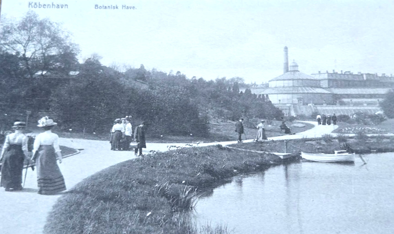 Antique 1910s København Postcard Botanisk Have Copenhagen Botanical Garden Antique 1910s København Postcard Botanisk Have Copenhagen Botanical Garden