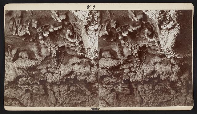 Photo:Wind Cave Black Hills South Dakota 1893 Frost Work Garden of Eden
