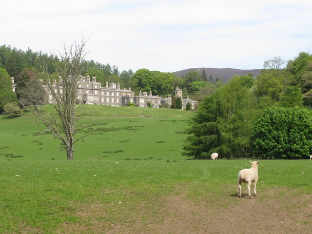 Photo A2 Bowhill House with lambs on estate Bowhill\/NT4227 View from pa c2018 Photo A2 Bowhill House with lambs on estate Bowhill\/NT4227 View from pa c2018