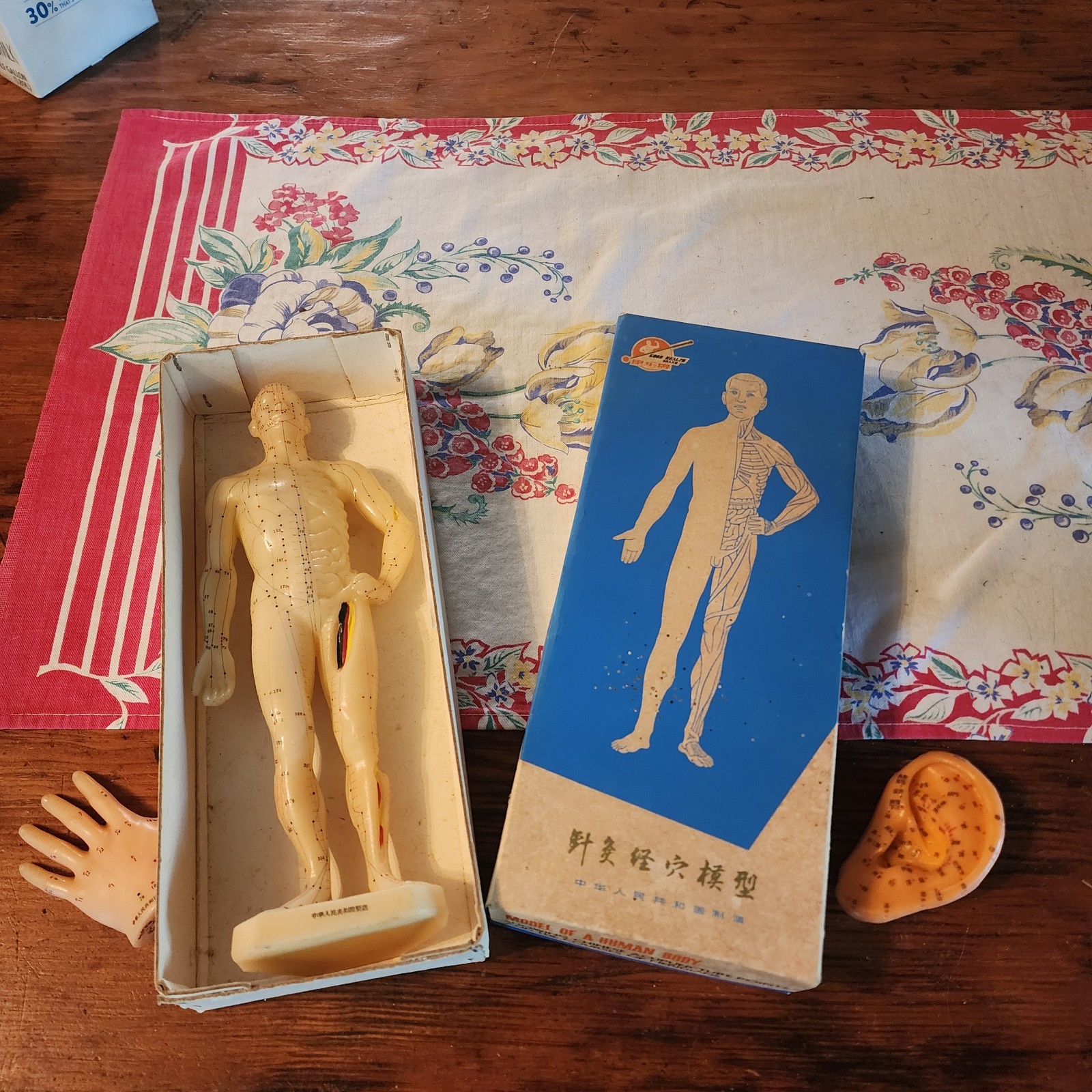 Vintage Chinese Acupuncture Meridian Figure Medical Model w/ Box  and Ear, Hand