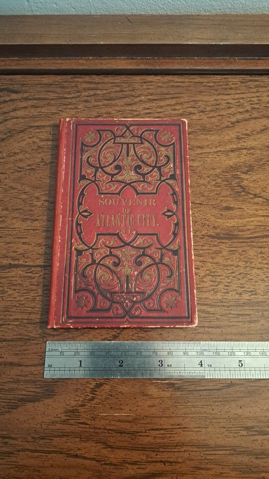 1888 Antique Victorian Souvenir of Atlantic City NJ Print Photo Ward Bros Book
