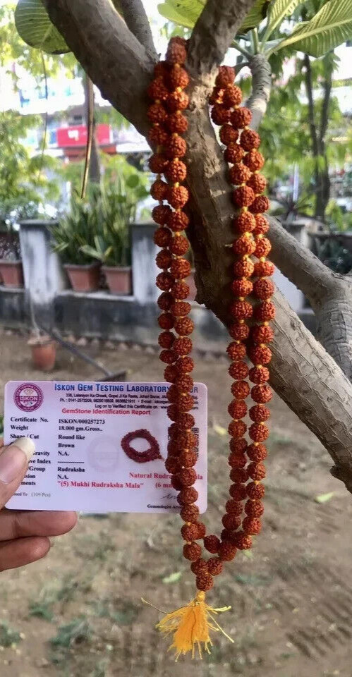 LAB CERTIFIED 5 Mukhi RUDRAKSHA Rudraksh Mala ROSARY 108+1 Bead Prayer Beads 6mm LAB CERTIFIED 5 Mukhi RUDRAKSHA Rudraksh Mala ROSARY 108+1 Bead Prayer Beads 6mm