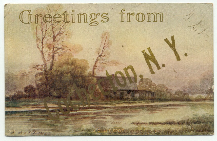 Cochecton NY c1908 Greetings From Postcard New York