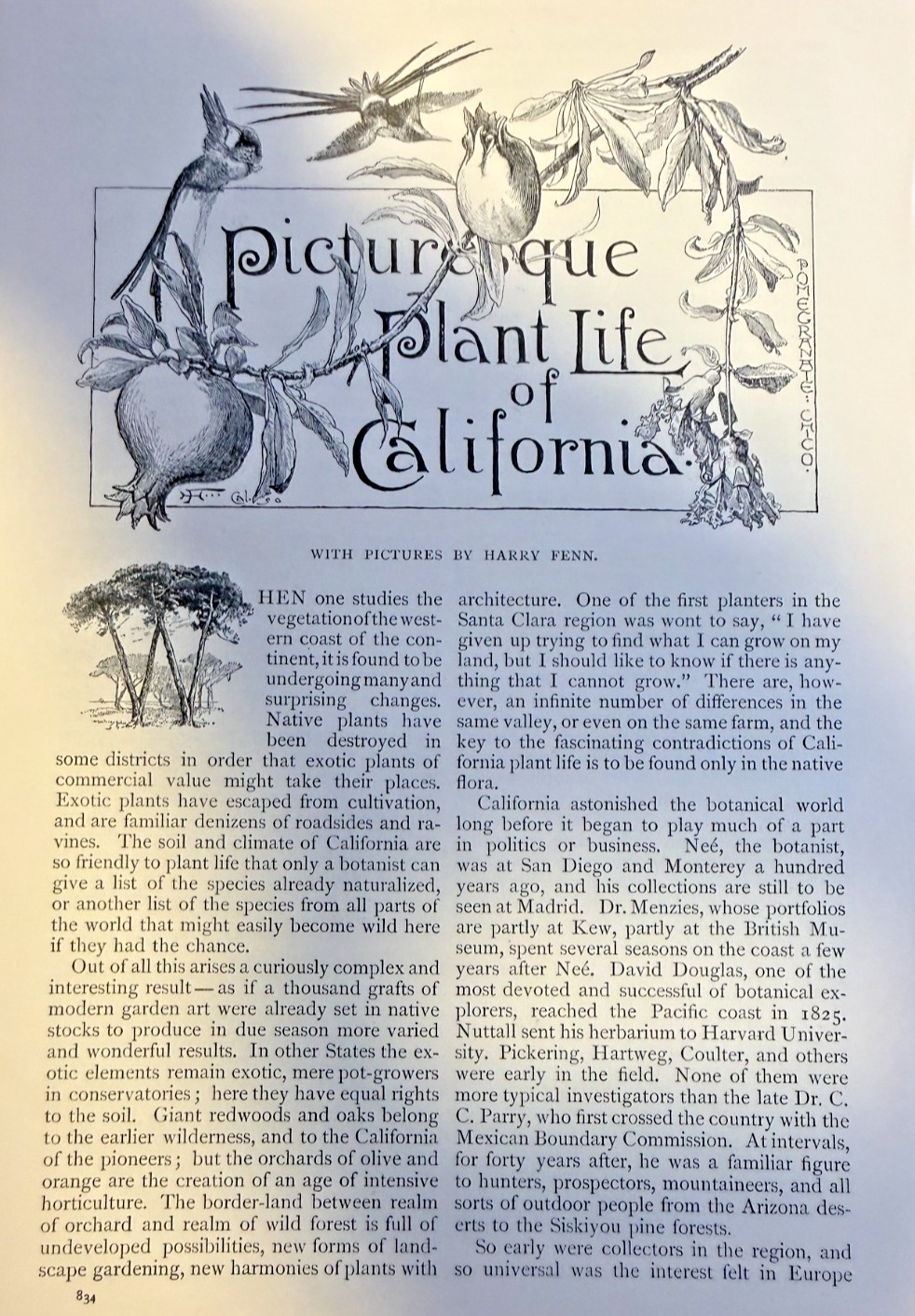 1892 Picturesque Plant Life of California illustrated