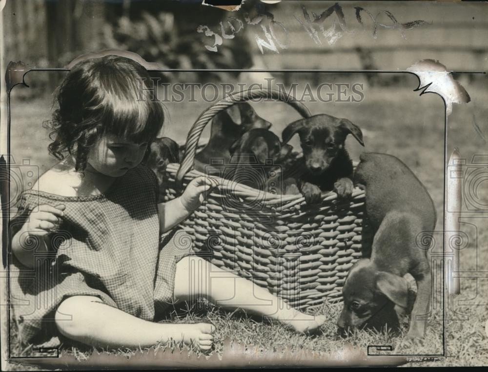 1925 Press Photo Young Catherine Nina Keith with her Dobermann Punscher puppies
