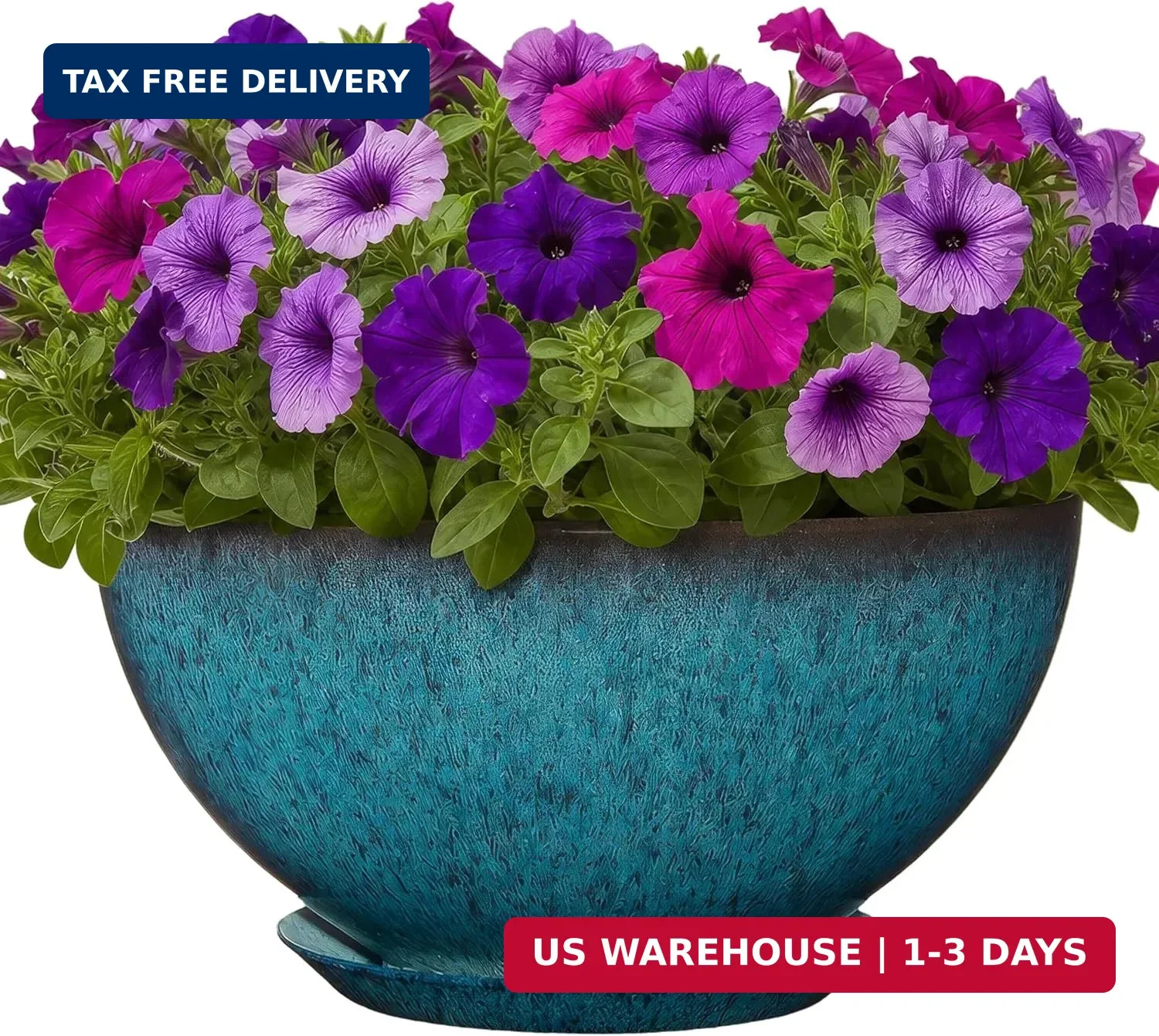 Rosie Planter Bowl, with Drainage and Saucer, 10\ Rosie Planter Bowl, with Drainage and Saucer, 10\