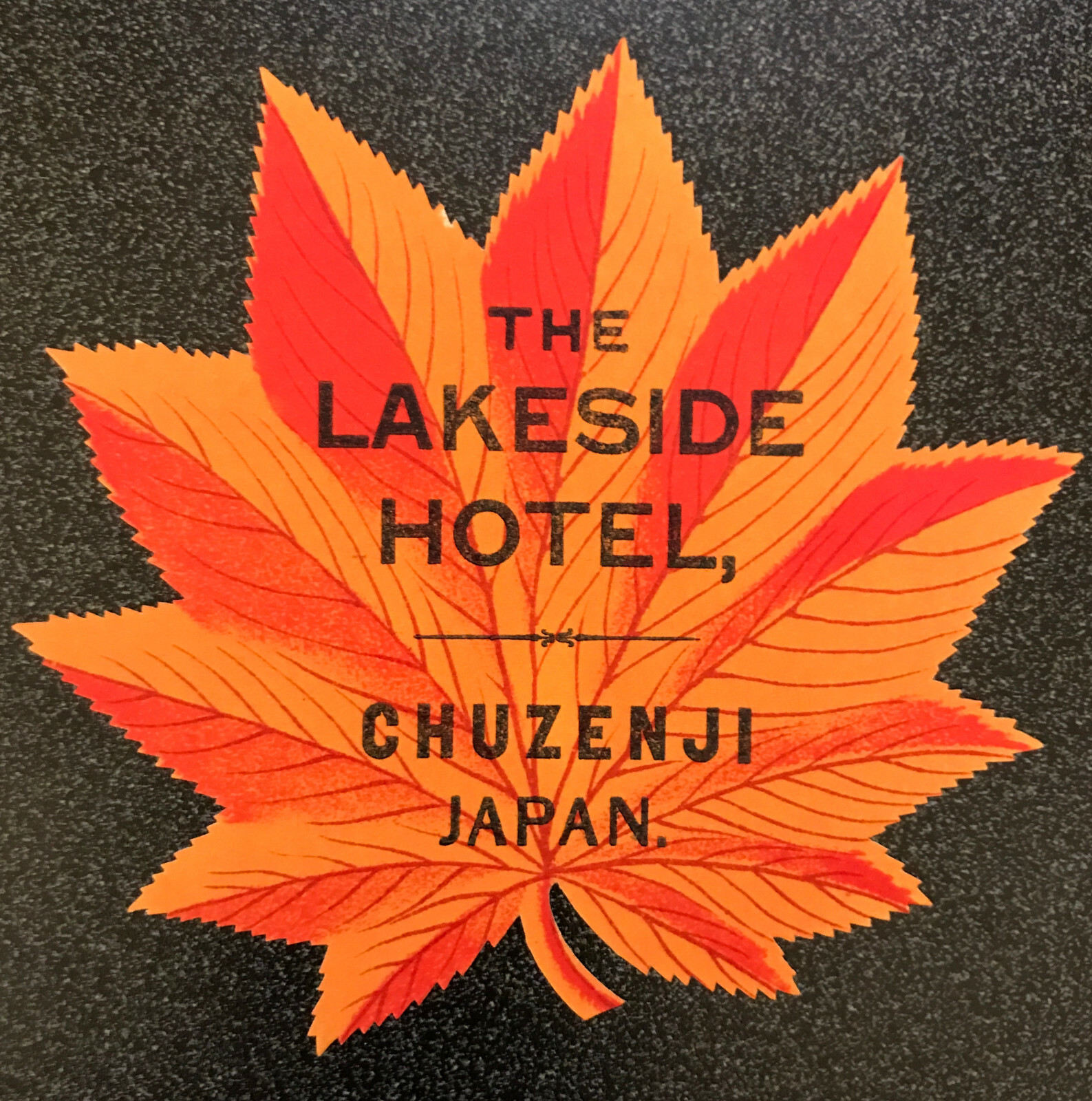 The Lakeside Hotel, Chuzenji, Nikko, Japan ~ RARE Luggage Label - Meiji Era 