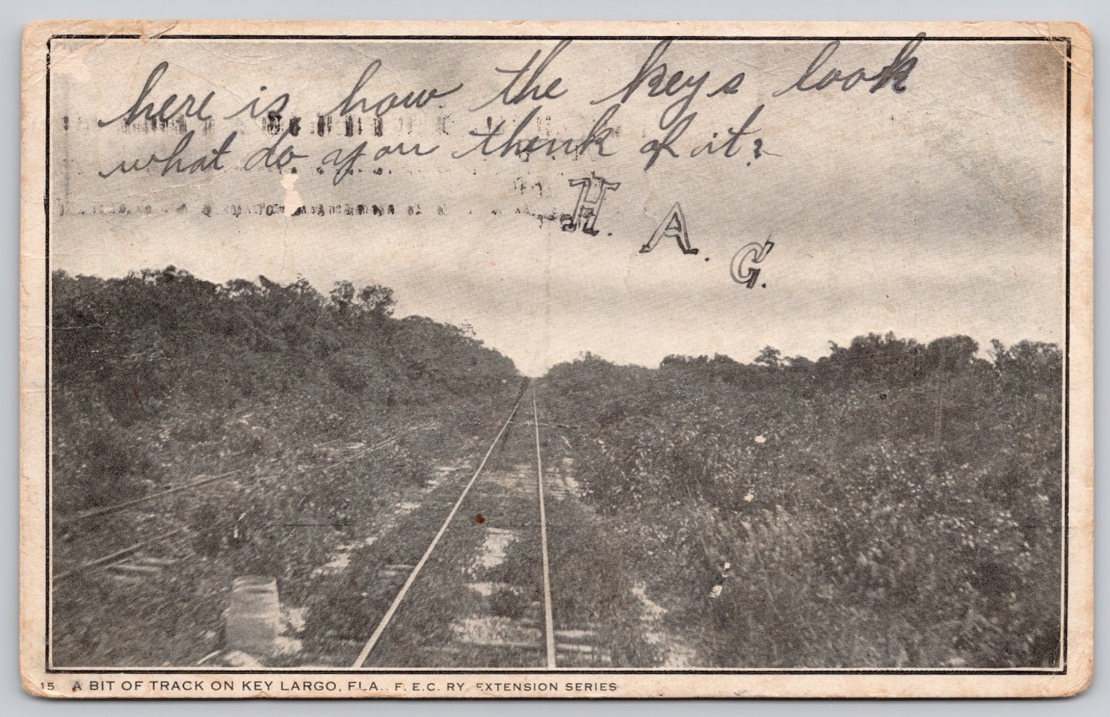 Key Largo Florida FL FEC RR Bit of Track Overseas Railway Postcard c1907 Key Largo Florida FL FEC RR Bit of Track Overseas Railway Postcard c1907
