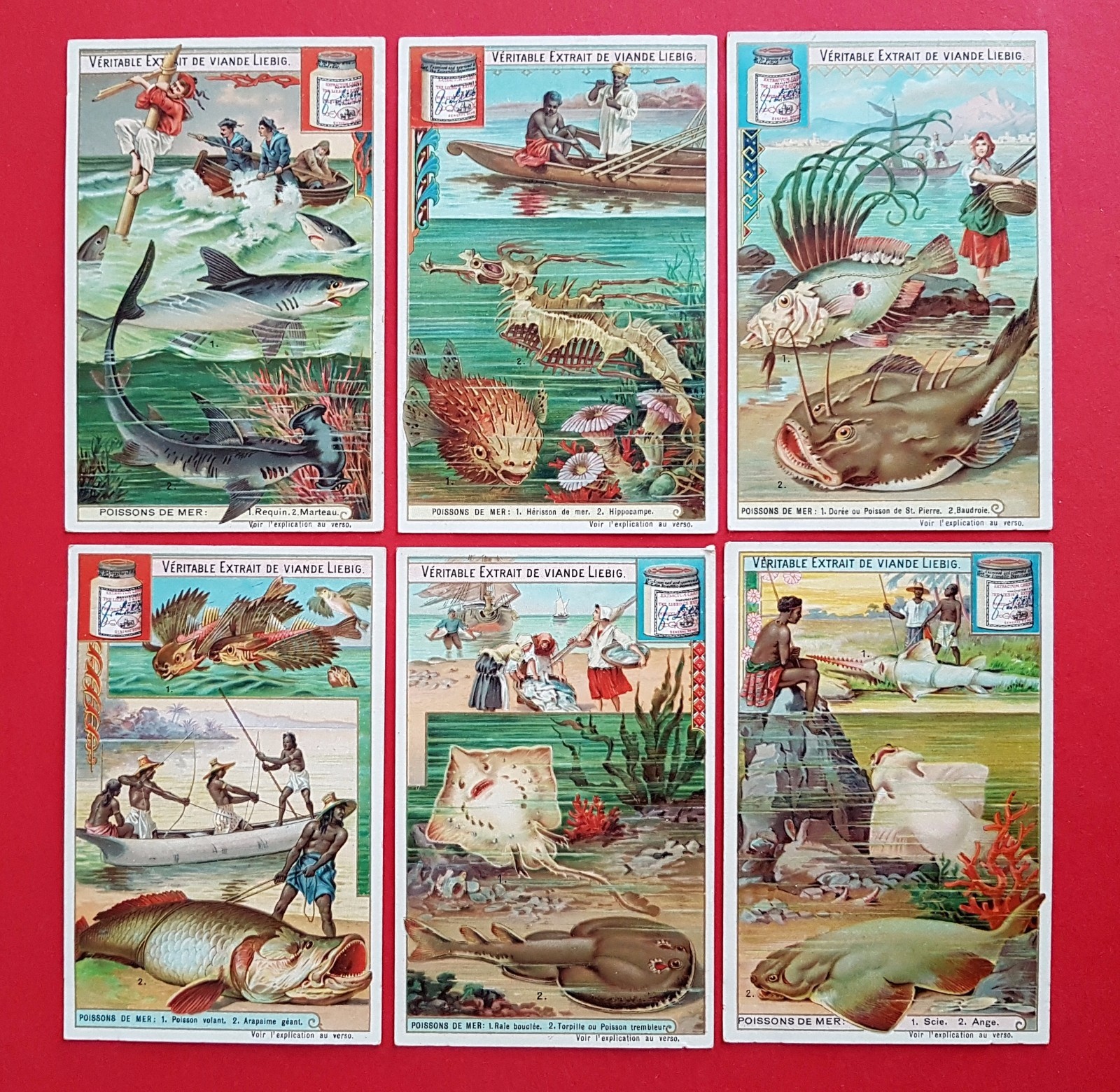 6 x Liebig collectable pictures in French (20513 6 x Liebig collectable pictures in French (20513